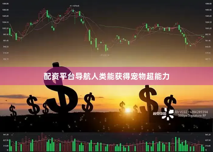 配资平台导航人类能获得宠物超能力