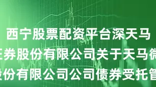 西宁股票配资平台深天马Ａ: 中信证券股份有限公司关于天马微电子股份有限公司公司债券受托管理事务报告（2024年度）