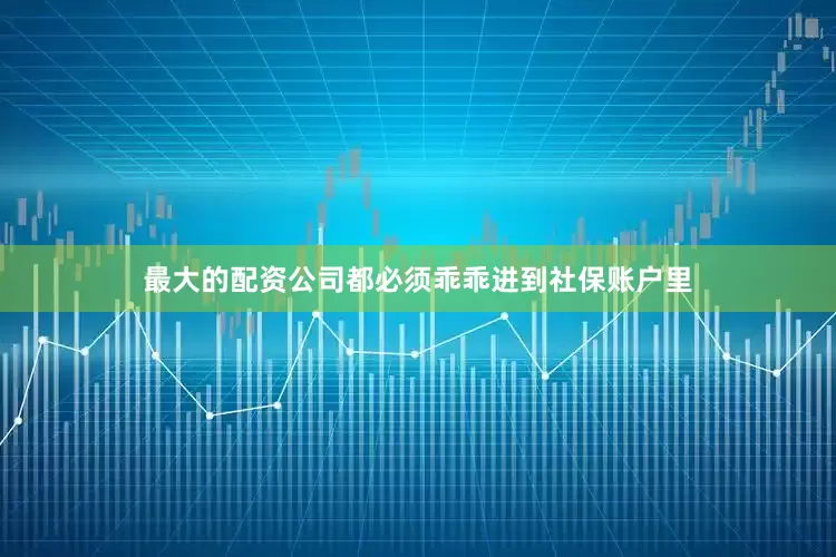 最大的配资公司都必须乖乖进到社保账户里