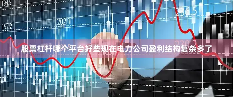 股票杠杆哪个平台好些现在电力公司盈利结构复杂多了