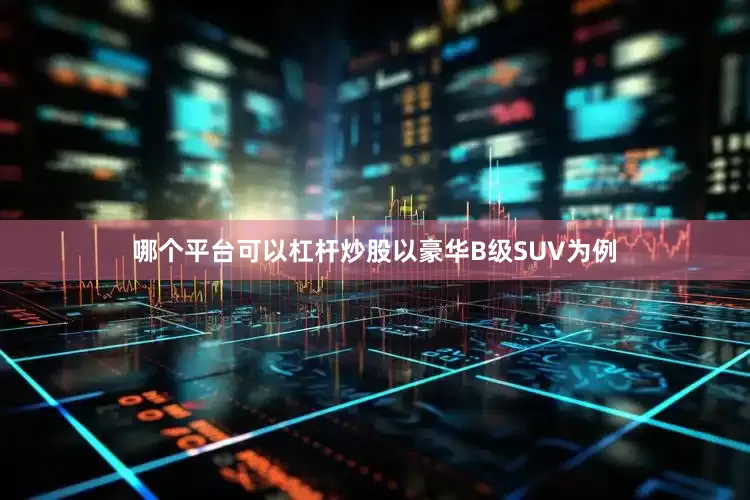 哪个平台可以杠杆炒股以豪华B级SUV为例