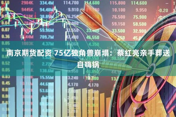 南京期货配资 75亿独角兽崩塌：蔡红亮亲手葬送自嗨锅